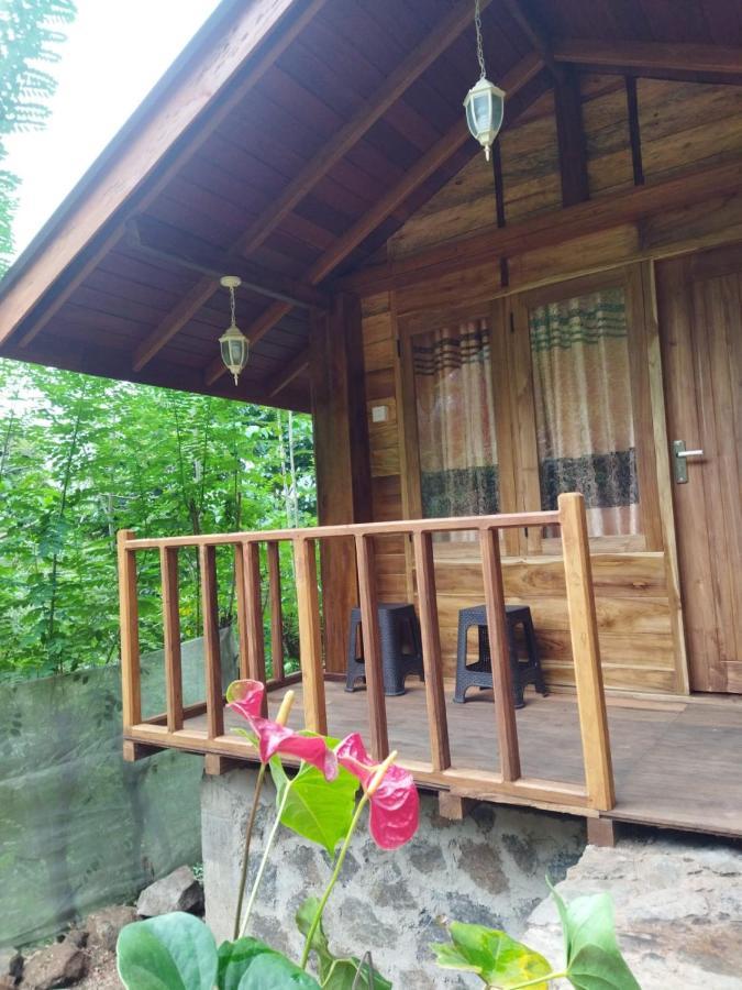 Diyaluma View Cotage Hotel Koslanda Екстериор снимка