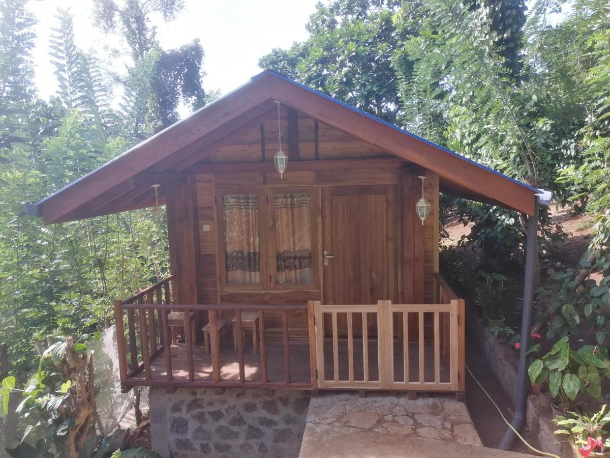 Diyaluma View Cotage Hotel Koslanda Екстериор снимка