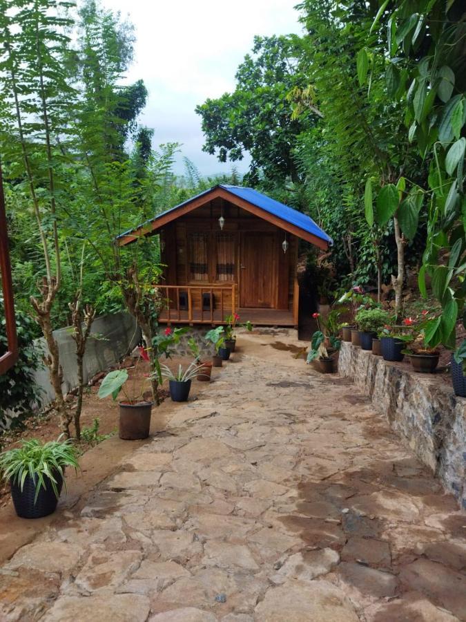 Diyaluma View Cotage Hotel Koslanda Екстериор снимка